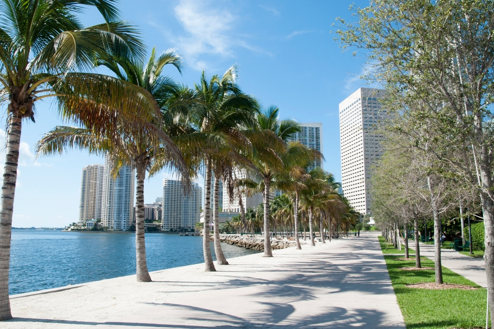 The Probst Group Sunshine Correspondence | Live Your Best Life in South Florida